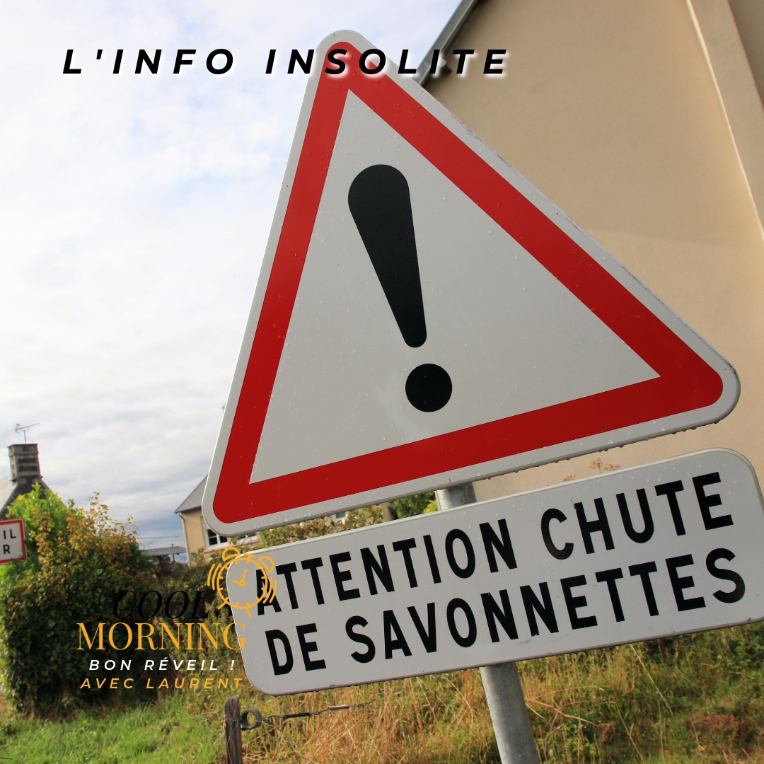 Info Insolite